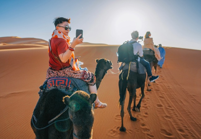 Maximize Your Earnings